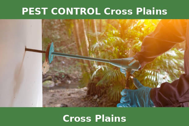 PEST CONTROL Cross Plains